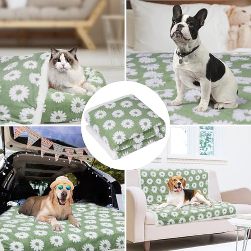 Image of Dog Blanket for Small Medium Large Dogs Fleece Cat Blankets for Indoor Cats Washable Fluffy Pet Bed Blanket Furniture Sofa Couch Cover Protector