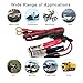 Battery Alligator Clips Booster Jumper Cable - O Ring Terminal Harness Wire 2 Pin Lug Cable for Car Battery Charging 16AWG (3ft-2 pack)