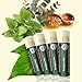 Earth's Daughter USDA Organic Lip Balm 4-Pack Eucalyptus Mint Flavor - Beeswax, Coconut Oil, Vitamin E - Best Lip Repair Chapstick for Dry Cracked Lips.