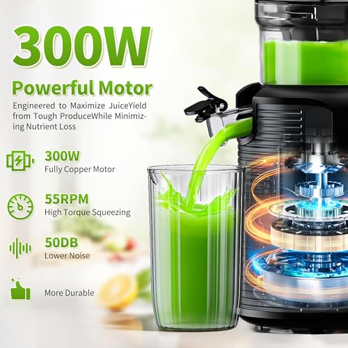 Automatic Cold Press Juicer Machine