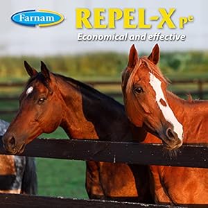 Farnam Repelx Readytouse Fly Spray Insecticide and Repellent for Horses and Dogs 32 Fluid Ounces 1 Quart Bottle with Trigger Sprayer Cucciolini Doodles Farnam repel x ready to use fly spray insecticide and repellent for horses and dogs 32 fluid ounces 1 quart bottle with trigger sprayer cucciolini doodles