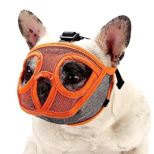 Maulkorb Für Kurze Schnauze Mops Maulkorb – Die 15 besten Produkte im Vergleich - HundeINFOPortal