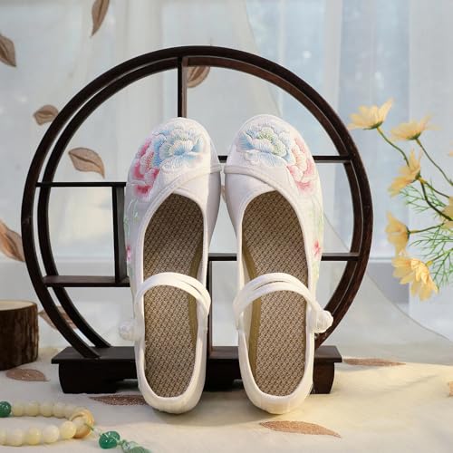 2025 Women's Chinese Style Floral Embroidery Ankle Strap Shoes Elegant Low Chunky Heel Cheongsam Hanfu Shoes Casual Comfort Stage Show Mary Jane Shoes4