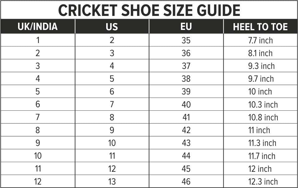 DSC Jaffa 22 Cricket Shoes for Men and Boys