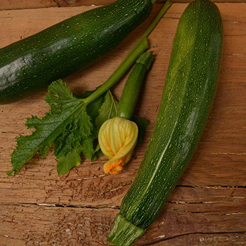 Dark Green Zucchini - 25 Seeds - Heirloom & Open-Pollinated Varie...