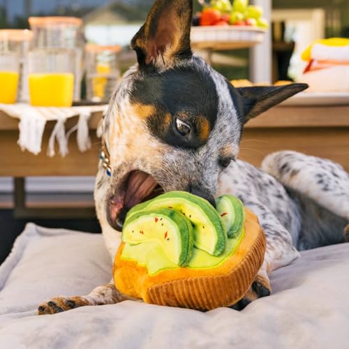 Barking Brunch Collection - AVO-doggo Toast (New!)