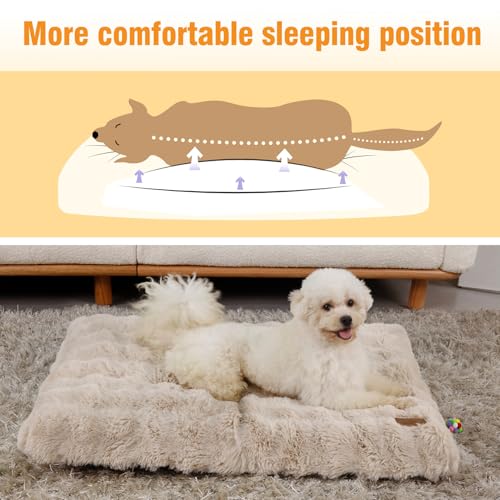 BingoPaw Hundebett Grosse Hunde waschbar: 90x60x10 cm Hundekissen flauschig Plüsch Hundematte für große mittelgroße Hunde, Hundematratze wasserdicht abnehmbar rutschfest, Beige, L