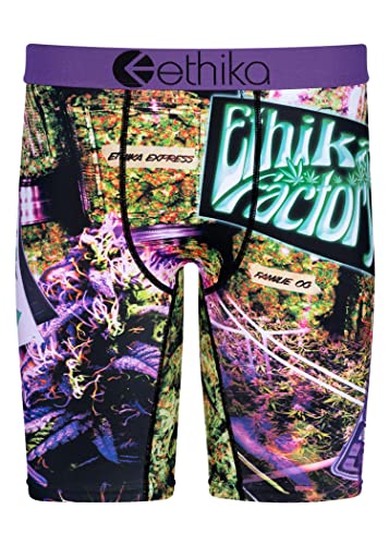 Ethika Mens Staple Boxer Brief | Green House (GRN, Small)