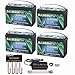 DJLBERMPW 48V Lithium Golf Cart Battery, 48 Volt 100Ah LiFePO4 Battery, Built-in 100A BMS, Includes 48V Voltage Equalizer,14.6V 10A Fast Charging Charger, Perfect for Golf Carts,RV,Off-Grid Solar Home | 4 Pack - 12.8V100Ah