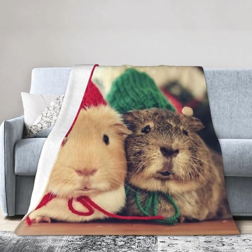 Plaid Polaire Cochon d'Inde Doux pour Soirée Cocooning Canapé