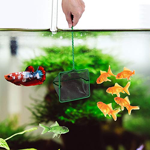 Image of Lpraer 4in 5in 6in Aquarium Fish Net Green Fine Mesh Nylon Net Collection with 11 inch Long Handle Square Quick Catch Fish Net for Fish Tank