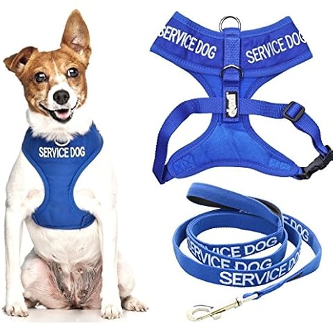 Dexil Service Dog Working Vest Harness Cover
