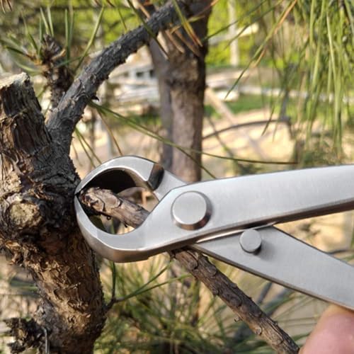 Agatige AGATIGEB7KP43EGOR Bonsai Branch Cutter, 7 Inch (180Mm) Stainless Steel Concave Knob Cutter Tree Limb Cutter Bonsai Pruning Japanese Gardening Tools thumb #2