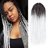 Gottin Hair Box Braids Crochet Hair 6 Packs 24 Inch White Ombre Small Crochet Box Braids Braided 22 Strands Over 60 Colors Gorgeous Crochet Braids Hair Extensions For Black Women (24 inch, 1B/White)