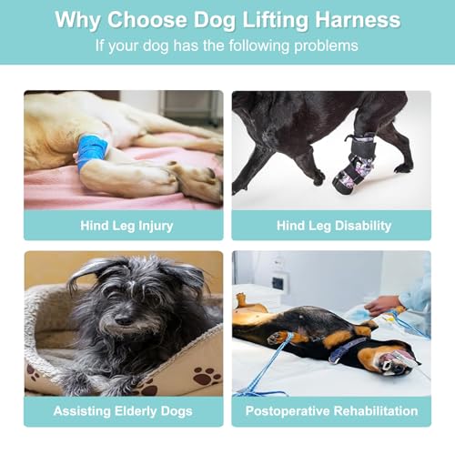 Dog Lifting Harness,Mobility Aids for Medium and Large Dogs,Adjustable Assistance Support Strap for Injured,Disabled,Elderly Dogs (Green, M) - Image 4
