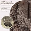 Natural Ostrich Feather Duster 14.9 inch Fluffy Mini Dusters with Plastic Handheld for Cleaning Car Keyboard Office 1 Pcs