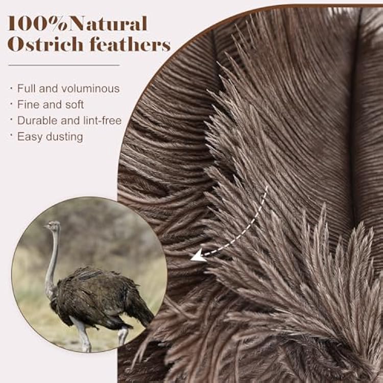 Natural Ostrich Feather Duster 14.9 inch Fluffy Mini Dusters with Plastic Handheld for Cleaning Car Keyboard Office 1 Pcs