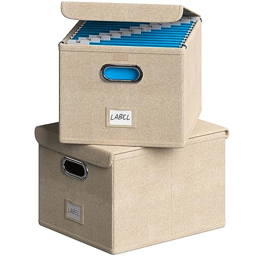 DYWMM File Storage Organizer Box, Set of 2 Fabric Hanging