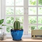Pots en céramique avec Saucer, 6 inch Glaze Planters pour les plantes intérieures avec trous de drainage, petits pots décoratifs de fleurs en plein air, pots à sucent moderne pour la chambre à coucher