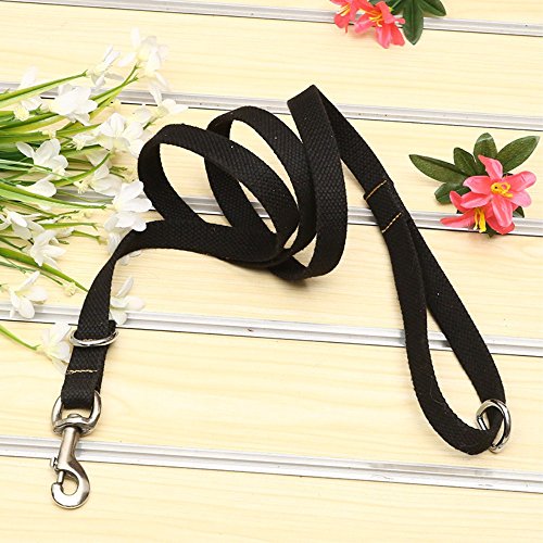 GH8 Length 130cm x Width 2.5cm Hand Knitting Nylon Hands Free Dog Leash Premium Running Dog Leash Black for Big Dog