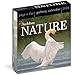Audubon Nature Page-A-Day&reg; Gallery Calendar 2026