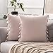 MIULEE 2er Set Samt Kissenbezug Quaste Kissenhülle Dekorative Sofakissen Tassel Dekokissen Deko Boho Kissen Kissenbezüge Couchkissen Versteckt Reißverschluss für Schlafzimmer Rosa 45x45 cm
