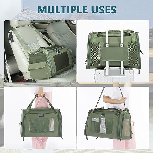 Petsfit Transportbox Katze Hund faltbar Transporttasche Hundetasche für Katzen Hunde, Hochwertige Tragetasche Hund Katze mit Schultergurt und weiches expandierbare Kissen,groß