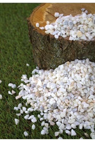 Dolomit Taş 1 Kg, 0,5-1 Cm, Karışık Renkli Çakıl Taşı, Saksı, Dere, Akvaryum ve Teraryum Taşı