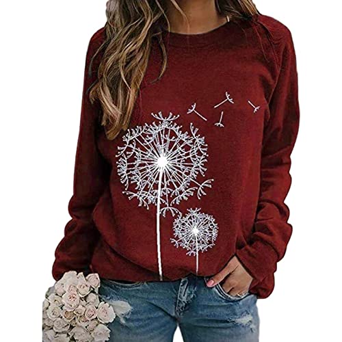 Eryue 2020 Euro and The United States Amazon Wish Autumn and Winter New Women's dan on Print Round ne Long-Sleeved Loose Casual Sweater Khaki M offers donot miss