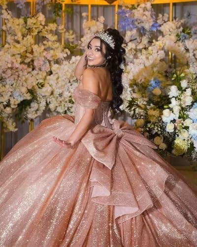 Tulle Quinceanera Dresses Off Shoulder Ball Gown with Bow Sparkly Sweet 16 Dress3