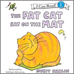 The Fat Cat Sat on the Mat Audiobook By Nurit Karlin cover art