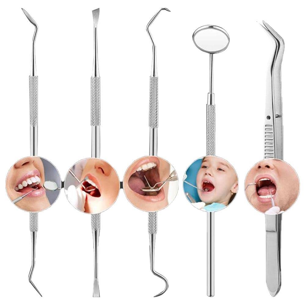Valkyrie 6 adet Metal Kutulu Paslanmaz Çelik Diş Tartar Dil Temizleme Dental Ağız Bakım Seti