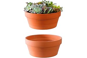 Yishang Large Terracotta Pots for Succulents - Unrivaled Elegance for Your Indoor Gardens