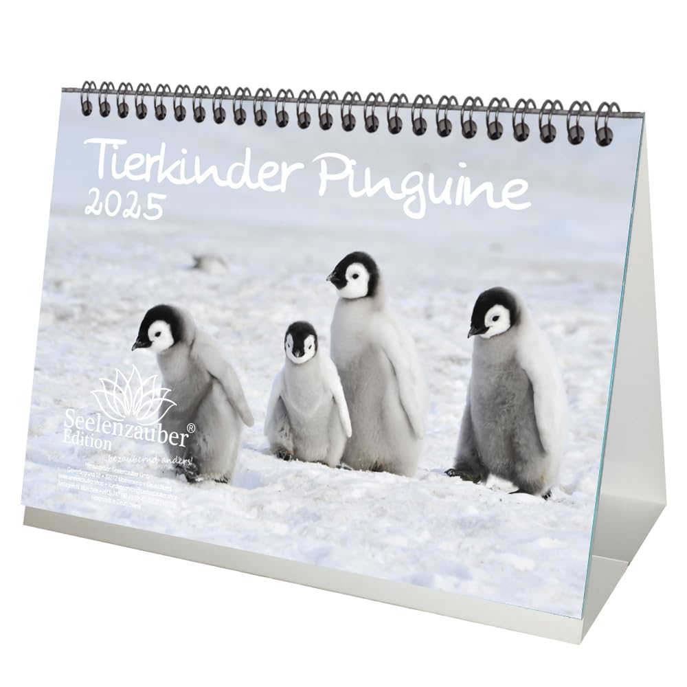 Día 336: Un Pretexto para Coincidir Contigo, image size:1000x1000