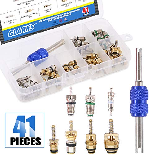 Glarks 41Pcs Car Air Conditioner Valve Core Schrader Valve Cores Accessories A/C R12