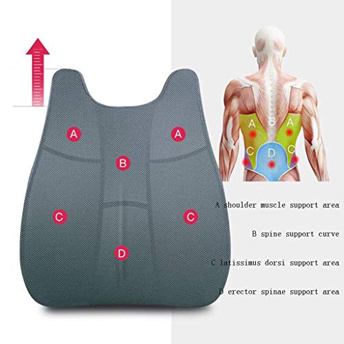 Coussin lombaire contre le mal de dos sur les chaises d'ordinateur et sièges auto