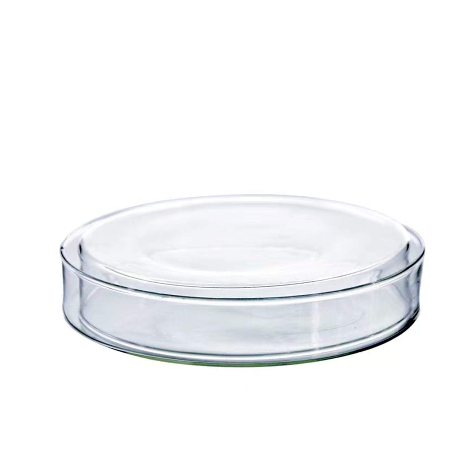 100 unids/pack laboratorio 60mm placa de Petri de plástico desechable equipo de laboratorio de cultivo biología placas de plástico transparente