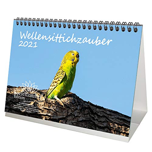 Télécharger Calendrier de table 2021 - Motif perruches ondulées - Format A5 - Coffret cadeau - Contenu : 1 cale PDF Ebook En Ligne