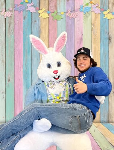 Fondo Fotográfico de Madera Colorida de Pascua 5x7FT miniatura 5
