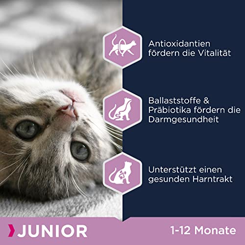 Eukanuba Junior Katzenfutter trocken - Premium Trockenfutter für Kitten von 1-12 Monate, fördert gesundes Wachstum, hoher Fleischanteil, 2 kg