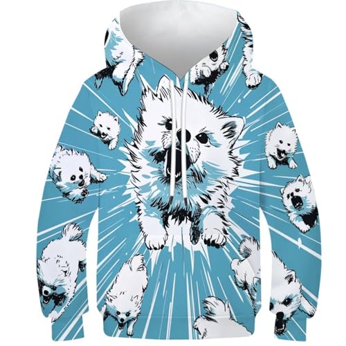 Sweatshirt à capuche 3D Samoye pour enfant 9-11 ans avec poche