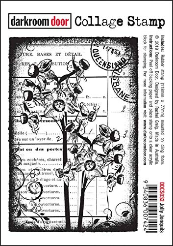 Darkroom Door Cling Stamp 4.5"X3"-Jolly Jonquils, Red