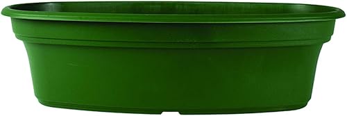 Miniatura 3 de The HC Companies Maceta ovalada Panterra de 12 pulgadas, maceta decorativa de plástico con drenaje para plantas al aire libre, arcilla