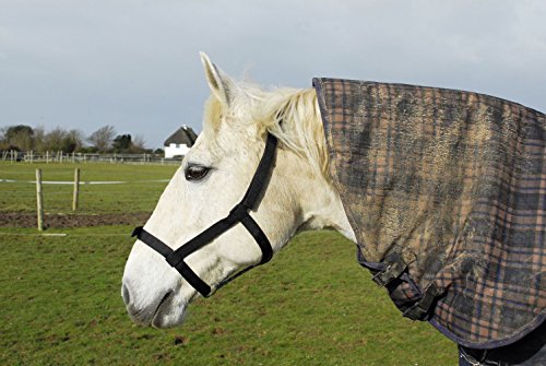 Rhinegold 0 Field Safe Headcollar-Cob-Raspberry Halfter, Himbeere