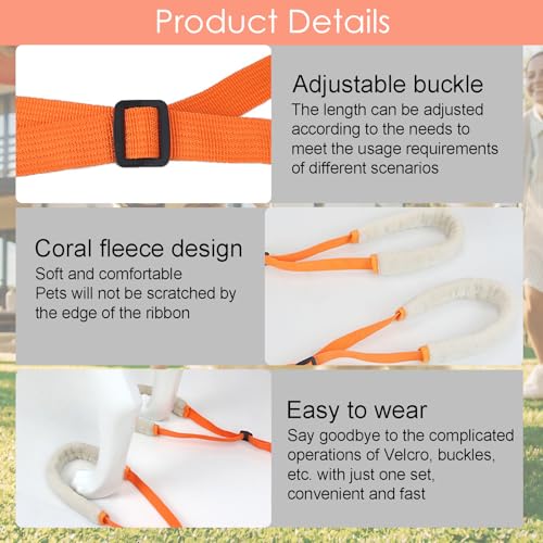 Hundegeschirr Grosse Hunde Gehhilfe mit Sicherheitsgurt - Tragehilfe für Kranke & Altere Hunde