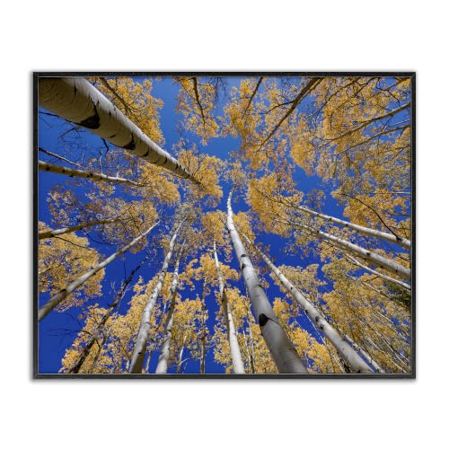 Looming Woodland Foliage Trees, 24 x 30 Inch Framed Giclée Print