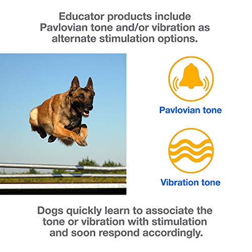 Educator K9 Tactical Dog Handler With Remote, 100 Levels Humane Stimulation, Pavlovian Tone, Waterproof, Odorproof Biothane Bungee Collar, Night Light, Rechargeable, 3/4 Mile 2 Dog, 33" Collar, Black #TOP2