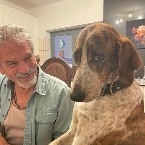 The Heartwarming Portuguese Rescue Story of Jacko the Dog (-: #portugal #dogs #rescue #jacko Titelbild