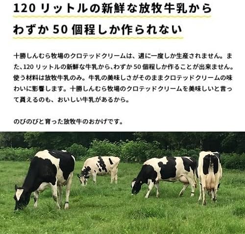 十勝しんむら牧場 クロテッドクリーム 100g×2個
