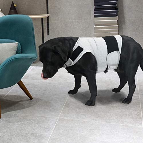 Image of Comfort Dog Anxiety Relief Coat, Dog Anxiety Calming Vest Wrap for Thunderstorm,Travel,4th of July Fireworks,Vet Visits,Separation Anxiety Relief for Dogs (X-Large(Pack of 1), Light Gray)